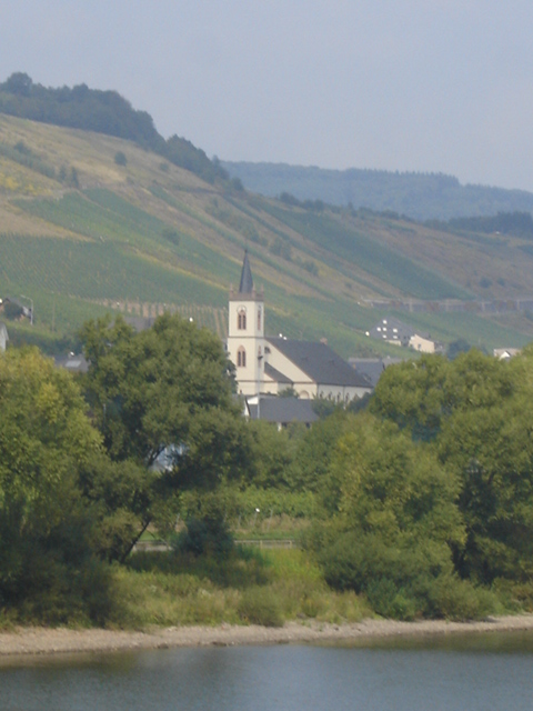 023 - PAYSAGE DES BORDS DE LA MOSELLE 4.JPG